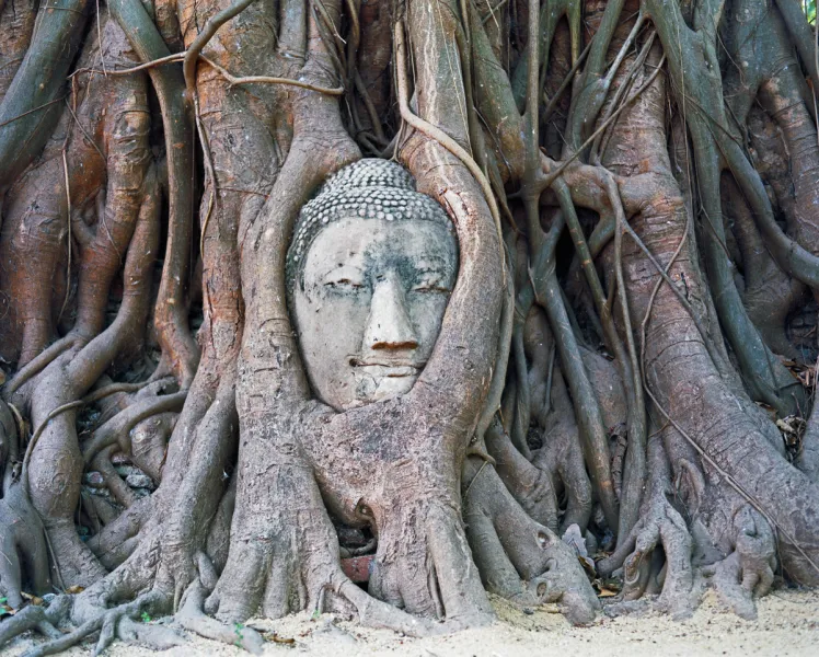ayutthaya buddha ayutthaya buddha
