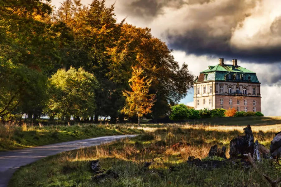 The Castle in the Forest The Castle in the Forest