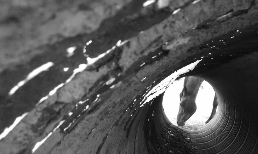 Tunnel Vision Tunnel Vision