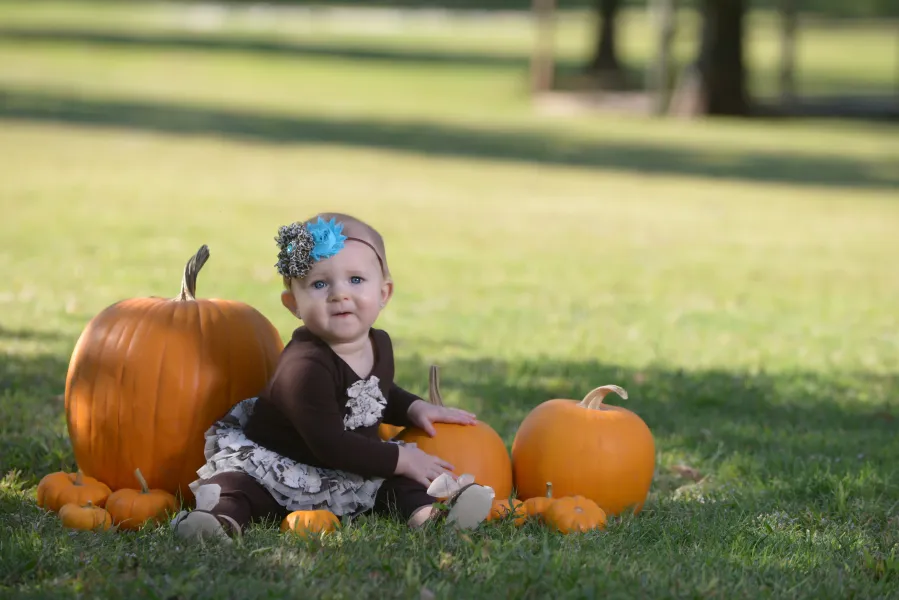Lil Pumpkin Patch Lil Pumpkin Patch