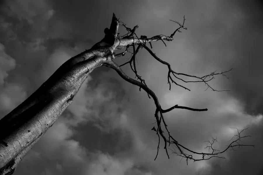 Story about nudity Story about nudity