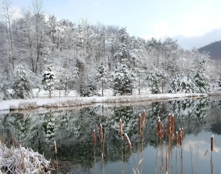 The Last Snow The Last Snow