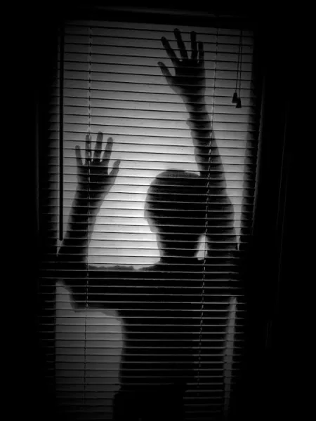 Shadow Prey Shadow Prey