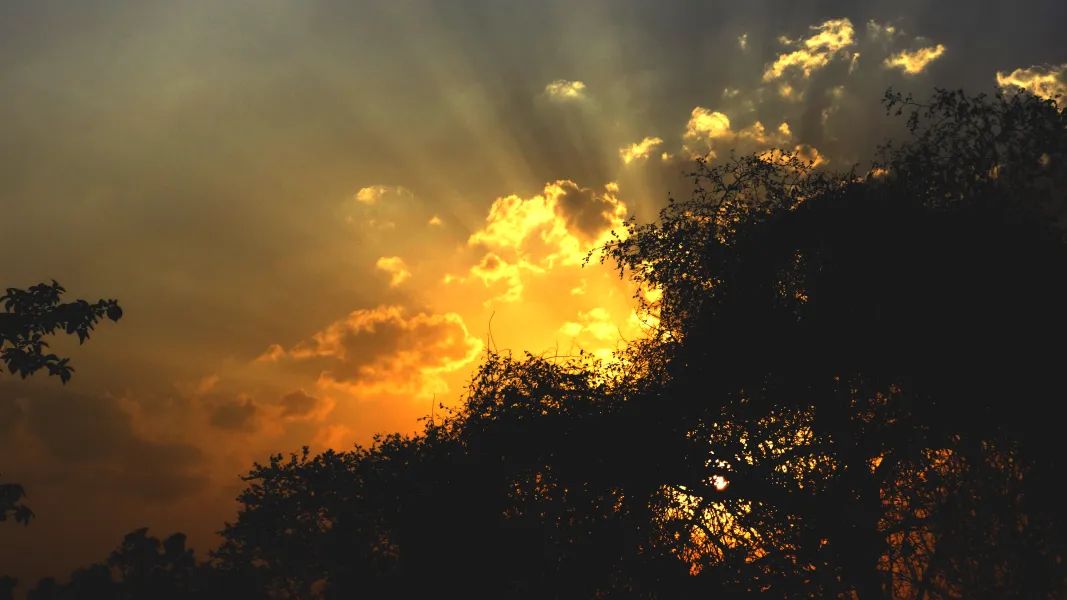 Rays of Hope Rays of Hope