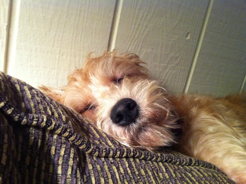 Just can't relax! Just can't relax!