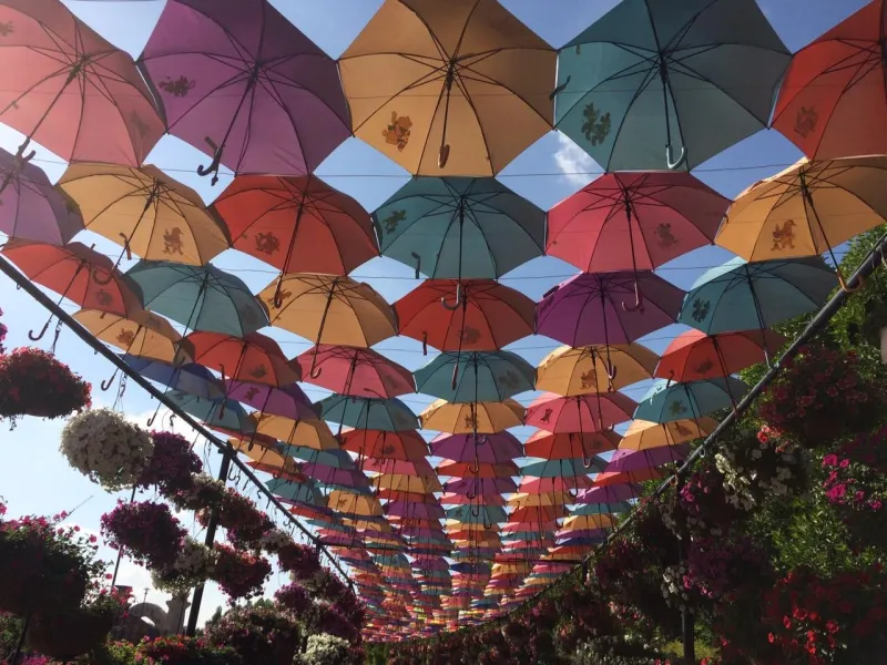 'Umbrella' a new view 'Umbrella' a new view