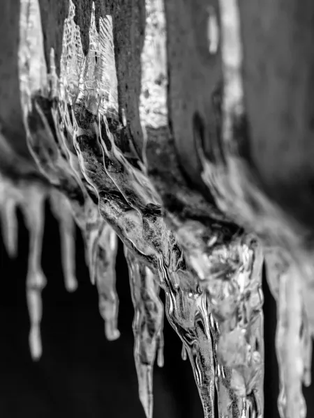 Frozen Art Frozen Art