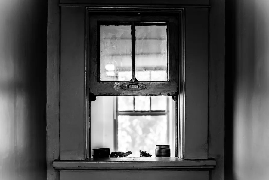 The Window The Window