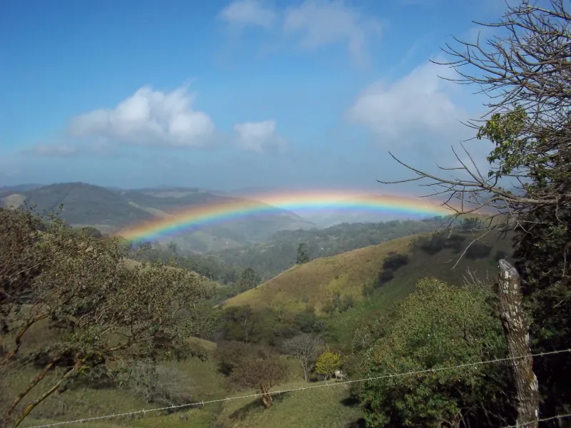 Beauty at the End of the Beauty at the End of the