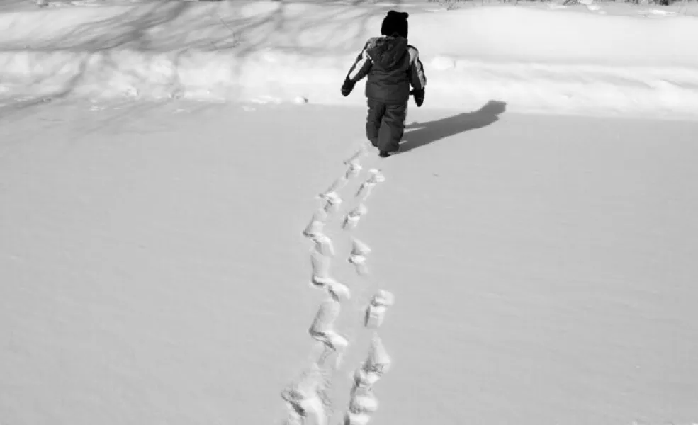 Footprints in the Snow Footprints in the Snow