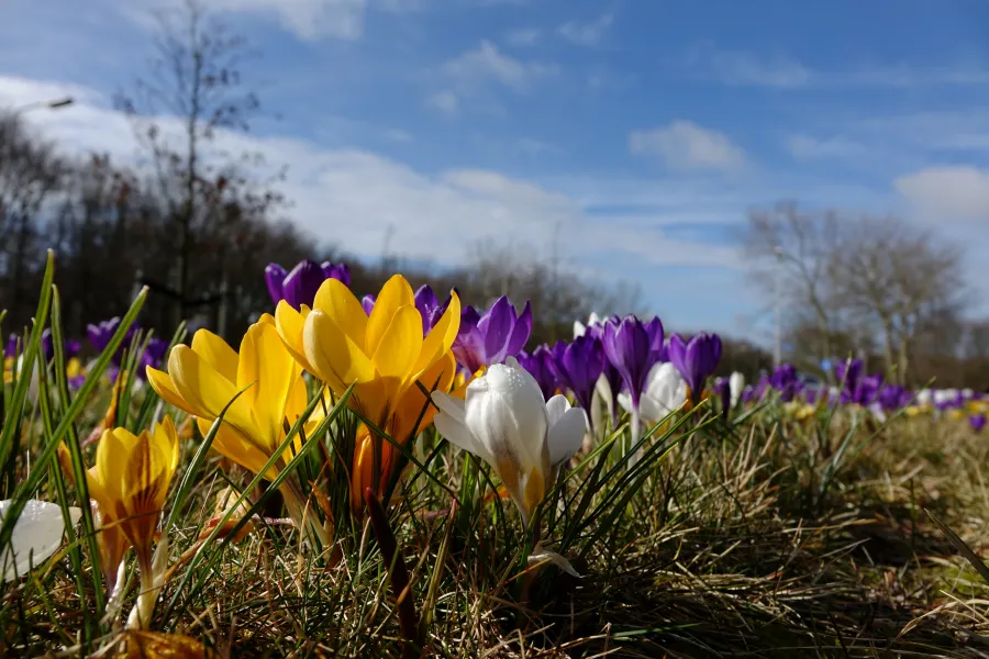 Welcome Springtime! Welcome Springtime!