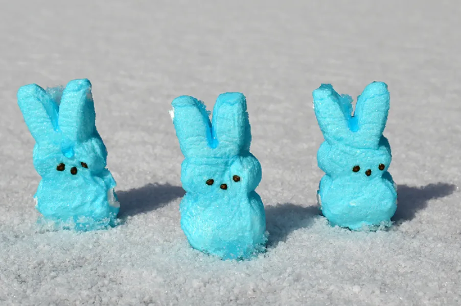 Snow Sweet Snow Sweet