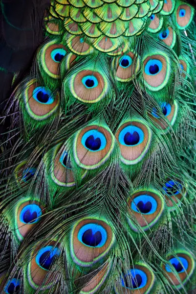 All Eyes On You All Eyes On You