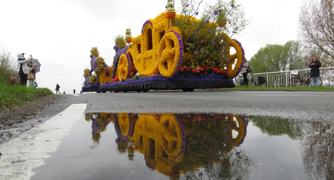 flower parade flower parade