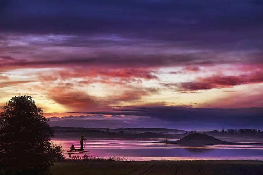 Purple Evening Purple Evening