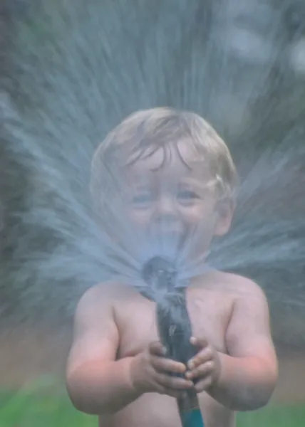 Summer shower Summer shower
