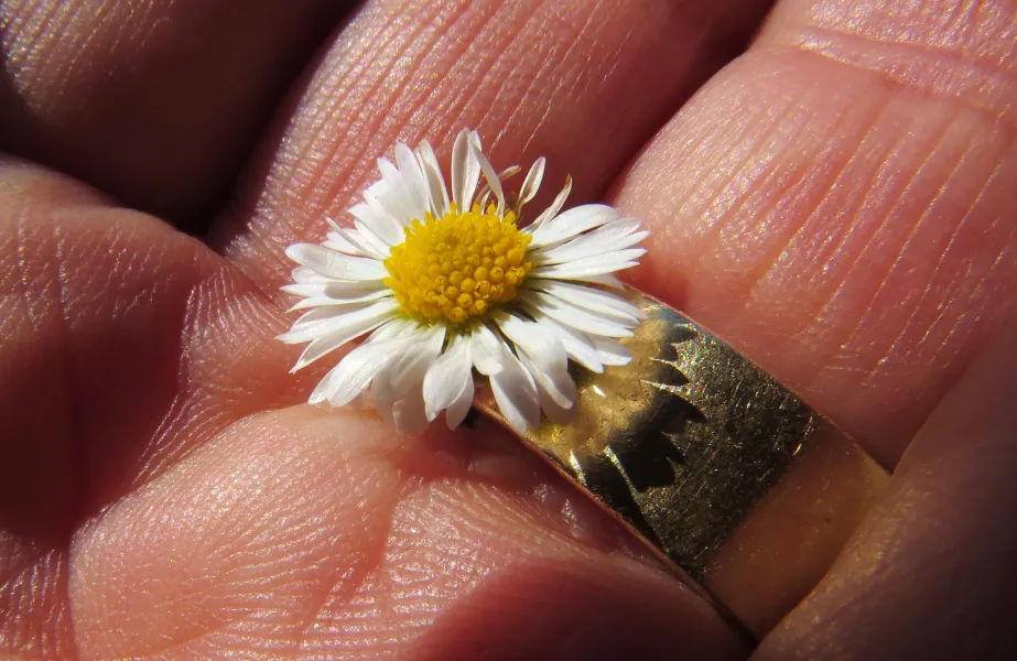 a grandchilds gift a grandchilds gift