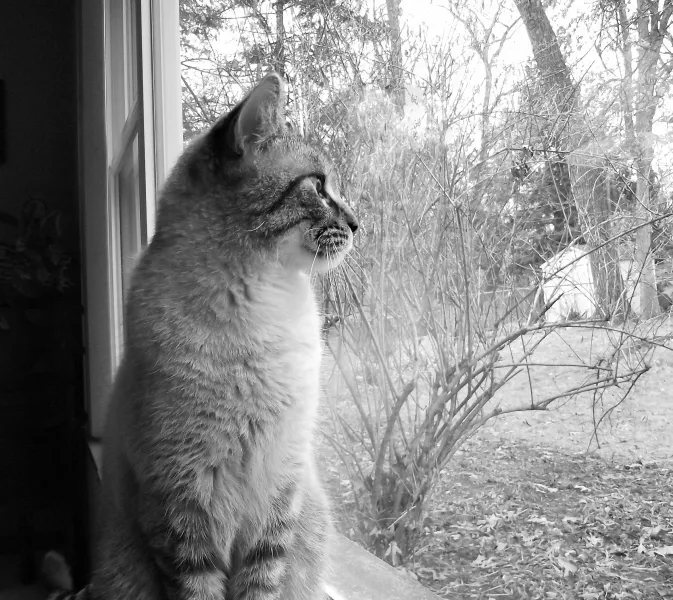 Longing for Summer Longing for Summer