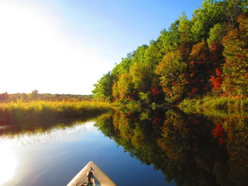 Kayaking on Glass Kayaking on Glass