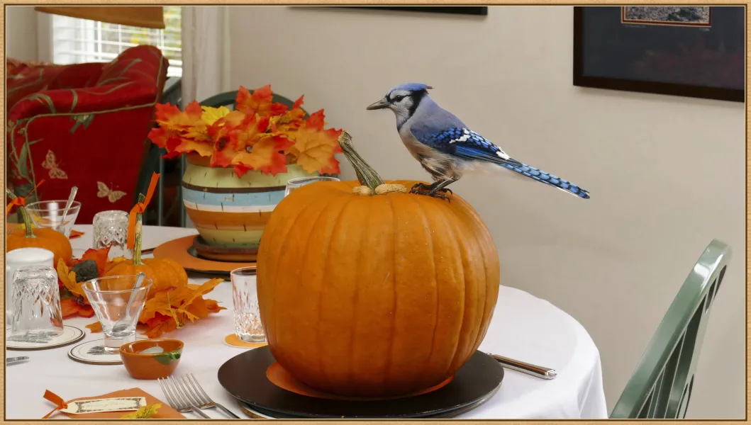 Thanksgiving Dinner Thanksgiving Dinner