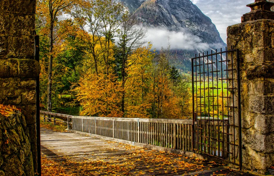 Autumn Glory Autumn Glory