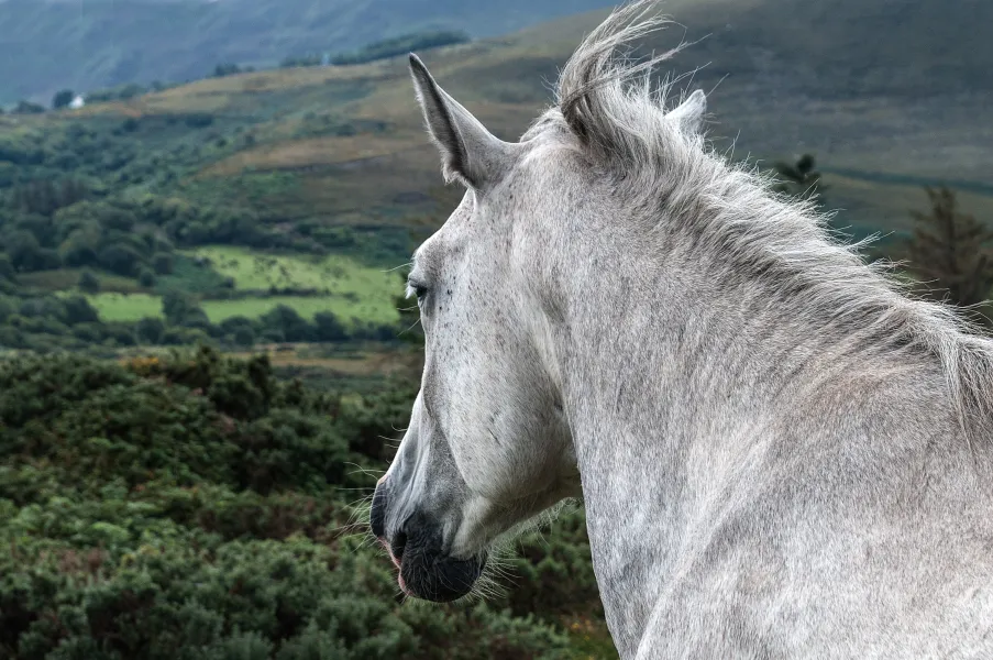 Vista Point Vista Point