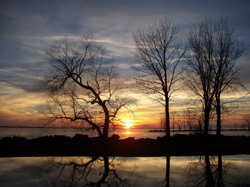 Winter Reflection Winter Reflection