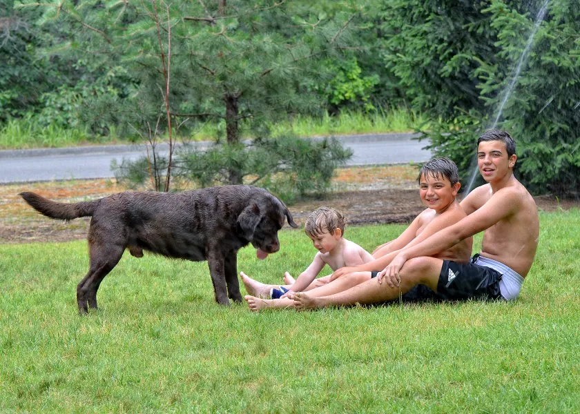 Summer fun Summer fun