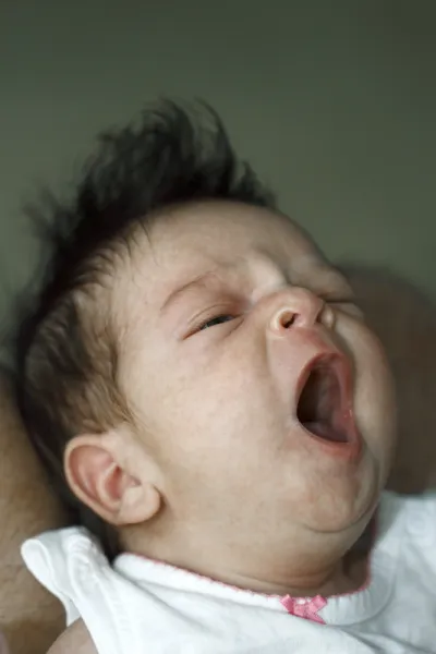 A Baby's Life A Baby's Life