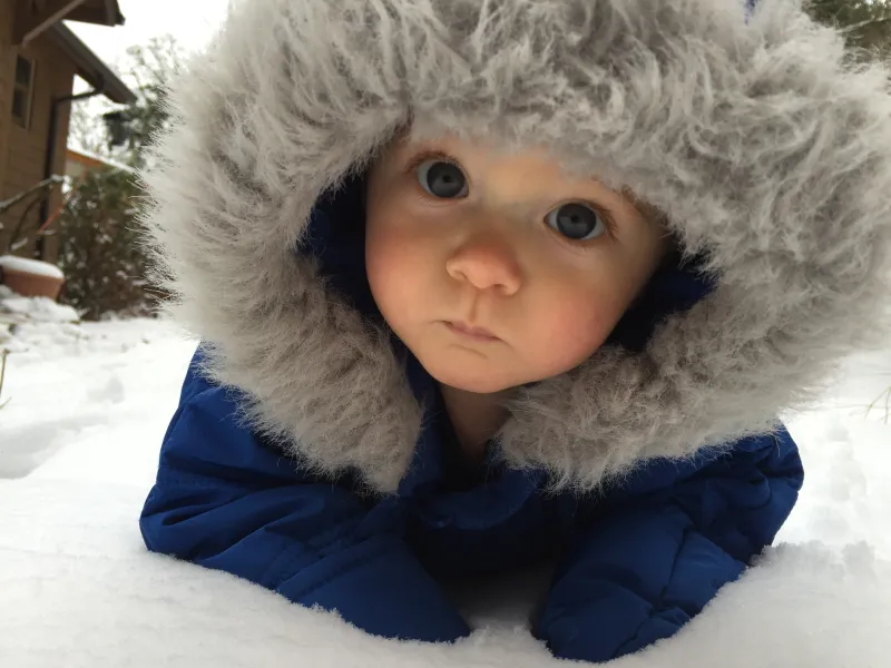 Snowpocolypse in Portland! Snowpocolypse in Portland!