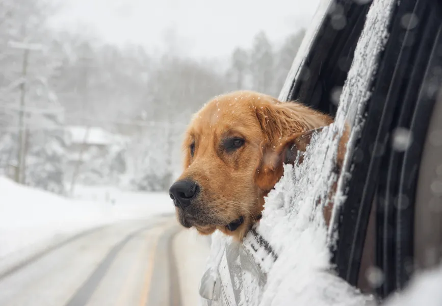 A Snow Day Ride A Snow Day Ride