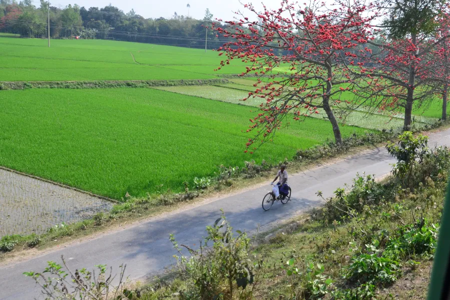 Cyclist Cyclist