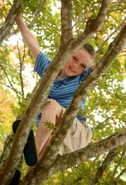 Trees make me smile Trees make me smile