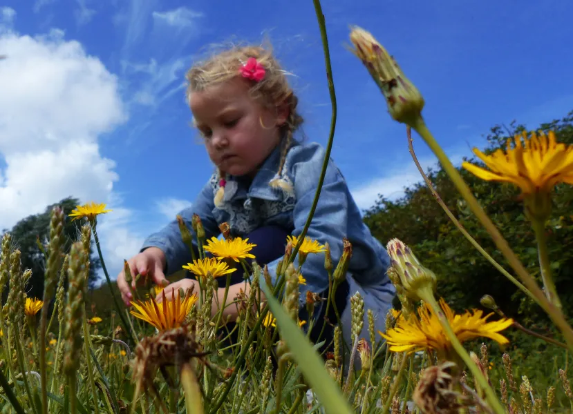 Love Flowers Love Flowers
