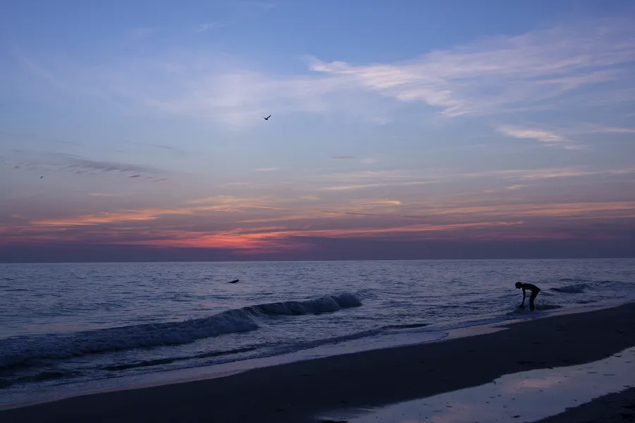 End of the Day End of the Day