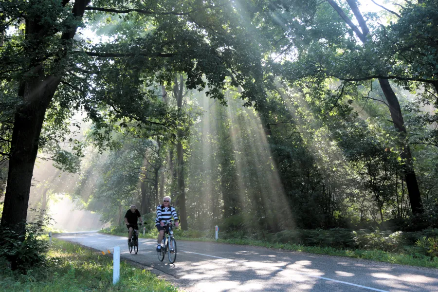 Misty start in Montfort (The Netherlands) Misty start in Montfort (The Netherlands)