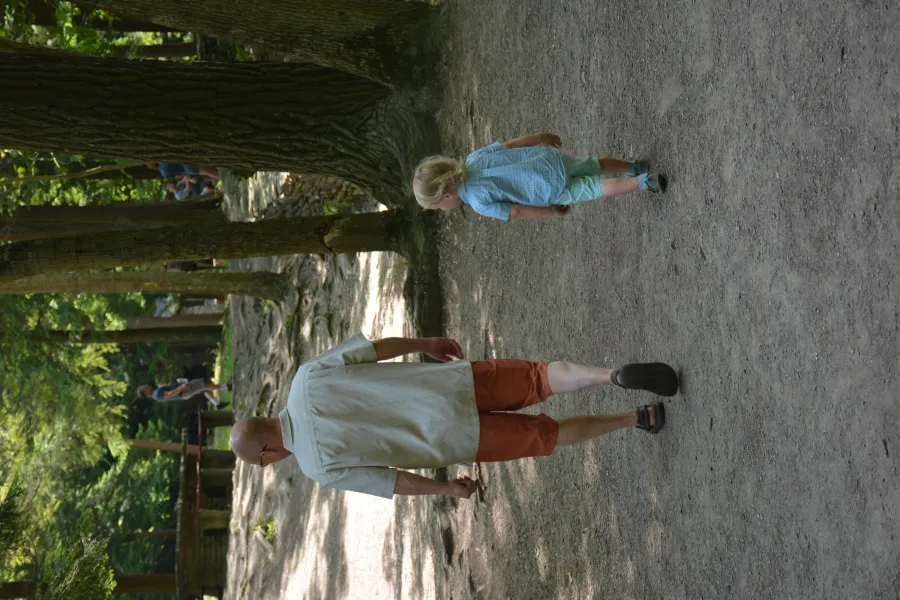 Like father, Like son Like father, Like son