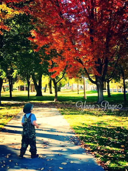 Loving the fall colors Loving the fall colors