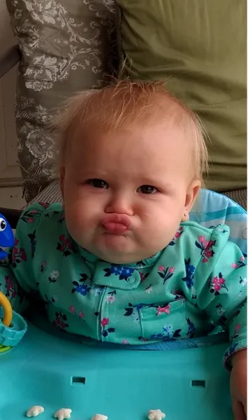 Snooshy face Snooshy face