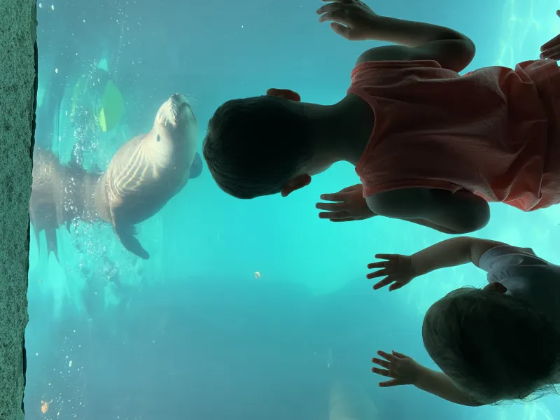 Fun at the Long Island Aquarium in Riverhead NY Fun at the Long Island Aquarium in Riverhead NY