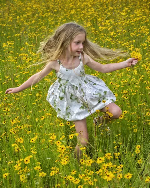 Running through the coreopsis flowers. Running through the coreopsis flowers.