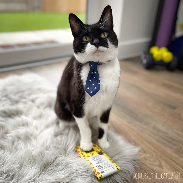 Gib me another breakfast or da choklit gets it ??? Gib me another breakfast or da choklit gets it ???