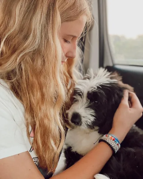 Puppy Love Puppy Love