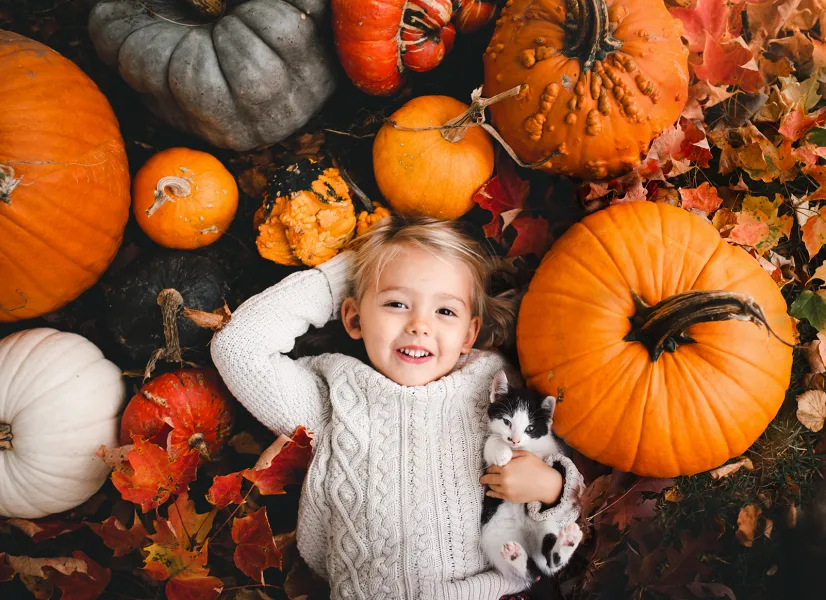 Purrfect fall day Purrfect fall day