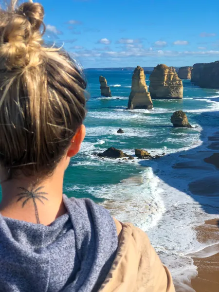 Great Ocean Road - Twelve Apostles and a Palm Tree Great Ocean Road - Twelve Apostles and a Palm Tree
