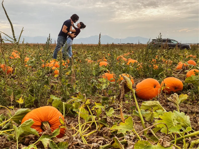 5 fun facts about pumpkins 5 fun facts about pumpkins