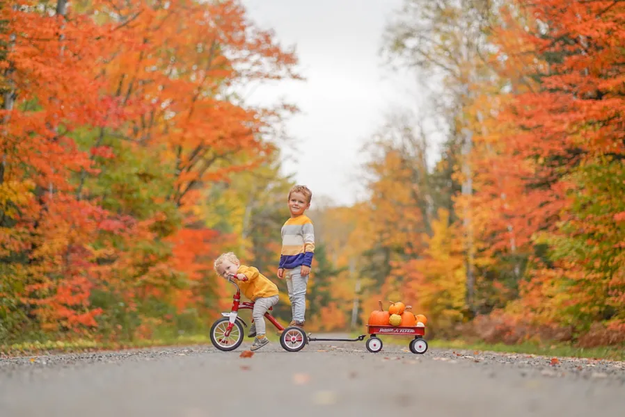 Pulling Pumpkins Pulling Pumpkins