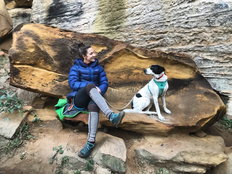 Koda “Little Bear” Koda “Little Bear”