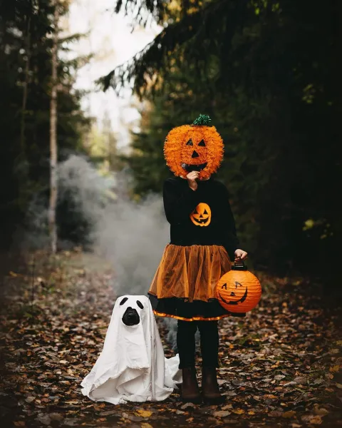 Trick or treat Trick or treat