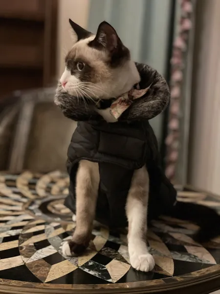 Patagucci ?⬛ Patagucci ?⬛